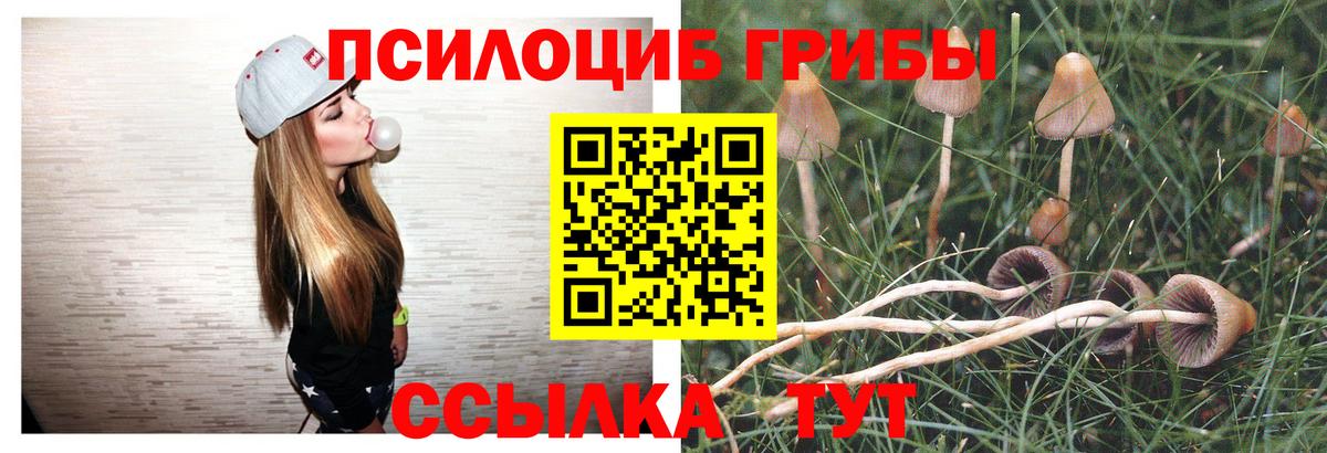 Партизанск  Галлюциногенные грибы Psilocybe  Вход с VPN  Галлюциногенные грибы Psilocybine cubensis 